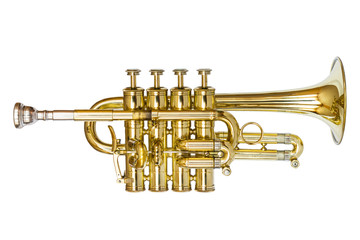 Obraz na płótnie Canvas Piccolo Trumpet Isolated on White