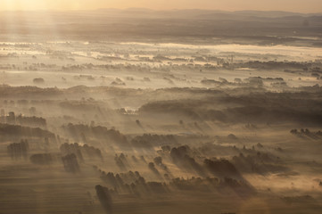 Morning fog
