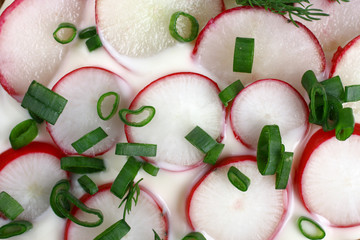 Salad with radishes and onions in sour cream