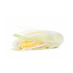 Corn