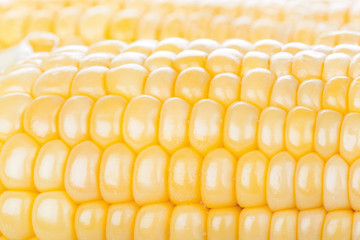 Corn background