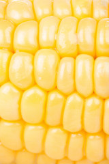 Corn background