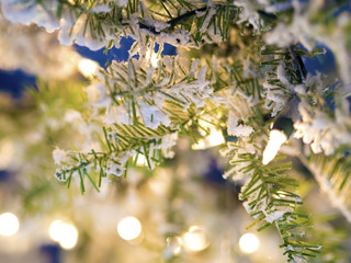 Brachnes Christmas Market