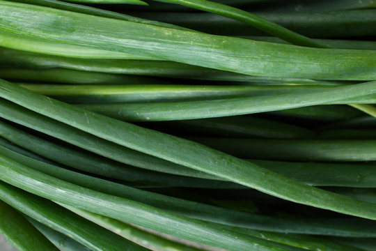 Green feathers onions