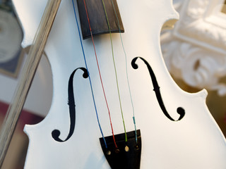 White violin