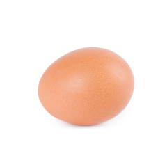 Egg on white background