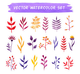 Fototapeta na wymiar Vector watercolor floral set.