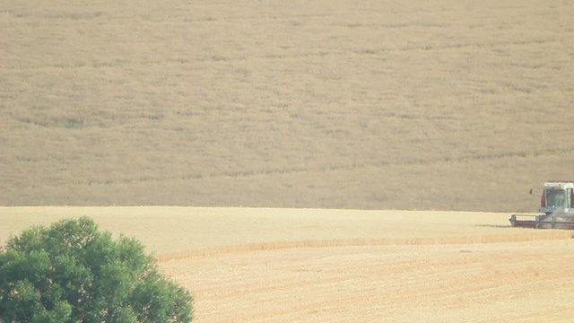 R&eacute;colte agricole