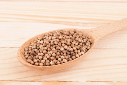 Coriander in a wooden spoon on the table.