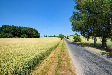 Narrow asphalt road with fields and blue sky