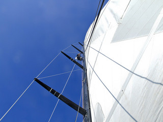 Sailor on the Main Mast