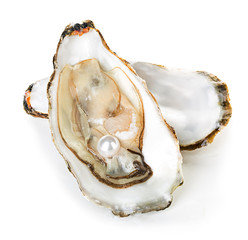Oysters isolated on a white background