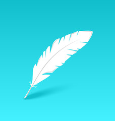 White feather isolated on blue background © -=MadDog=-