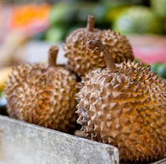 Fototapeta premium Durian