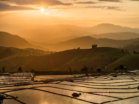 Rice Terraces