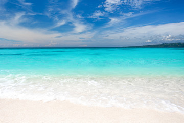 Fototapeta premium Tropical sandy beach with calm waves on sandbank. destination with nobody 
