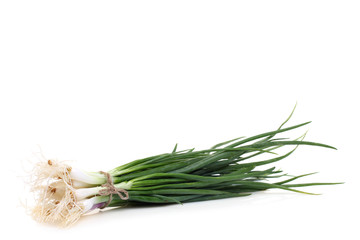 Bundle onions on a isolated white background 