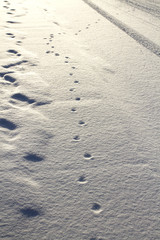 Tracks in Snow