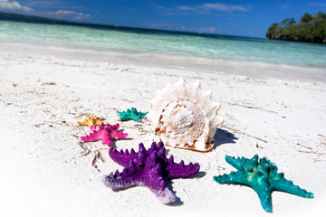 Fototapeta na wymiar Starfishes in tropic paradise. Travel Vacation concept