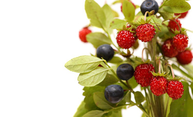 Strawberries and blueberries. bouquet berries , leaves of wild