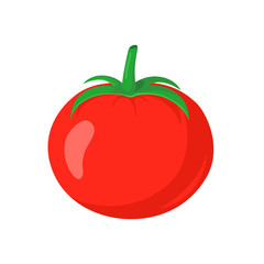 Red tomato vegetable.