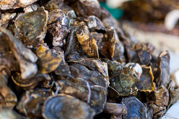 Fresh seafood in asian market