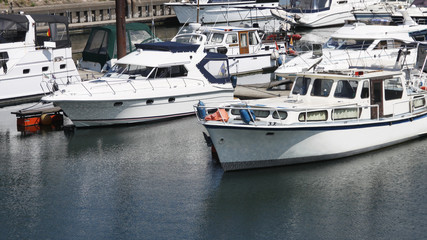 yachts in a marina