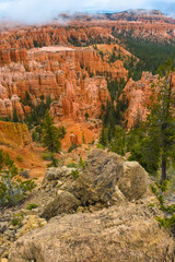 Bryce Canyon Landscape Vertical
