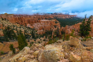Bryce Canyon Landscape