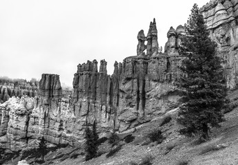 Black and White Bryce Canyon