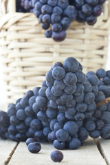Bunch of grapes.