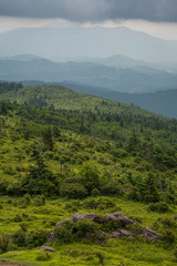 A very colorful and lush warm summer morning at Grayson Highlands