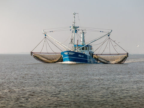 Fishing ship, Holland