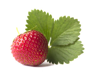 Клубника спелая и зеленый листик