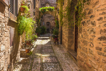 The cobbled streets of the beautifully decorated walls with colo