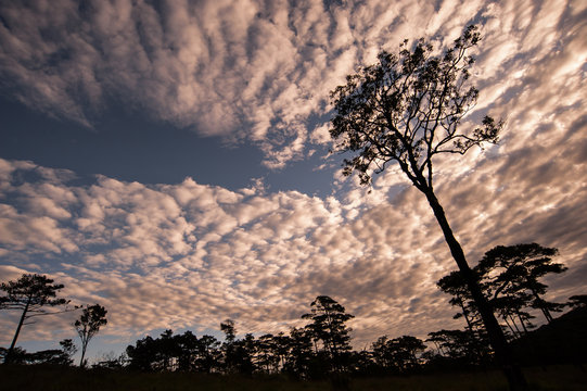 Silhouette Landscape And Photographer At Phu Soi Dao National Park Thailand