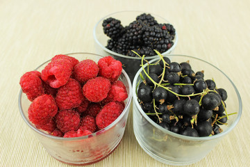 Waldbeeren - Himbeeren, Brombeeren und Johannisbeeren
