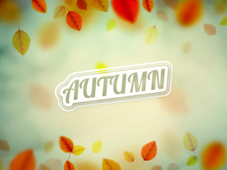 Hello Autumn - 87548657