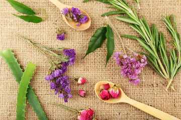 Green herbs and leaves on sackcloth, closeup
