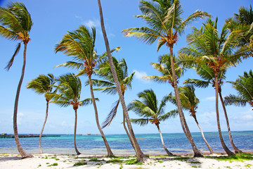 Fototapeta na wymiar Blick vom Strand auf das Meer in der Karibik