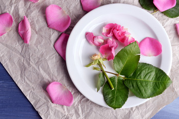 Beautiful pink roses in white plate on parchment, top view