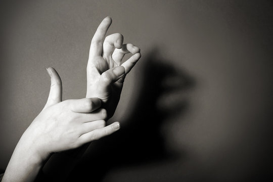 Hands gesture like animal on gray background
