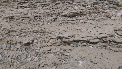 Eroded Ancient Roman Marble

Ancient Roman ruins eroded by salt water. 