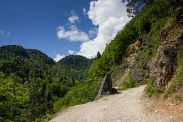 Fototapeta na wymiar Mountain road in the mountains