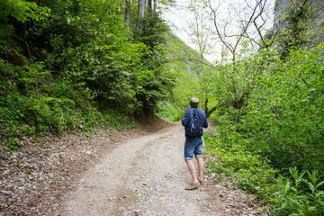 Obraz premium Man on the road in a mountain forest.