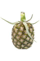 pineapple on white screen