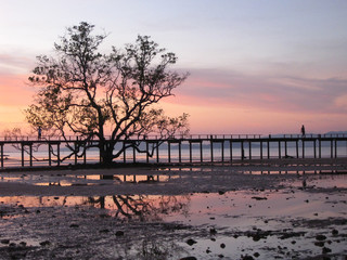 Fototapeta na wymiar The beach before sunset