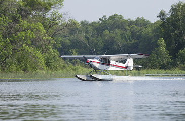 Small floatplane lands on a Minnesota lake - obrazy, fototapety, plakaty