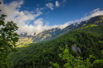 Caucasian mountains covered with forests.