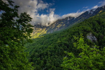 Fototapeta na wymiar Caucasian mountains covered with forests.